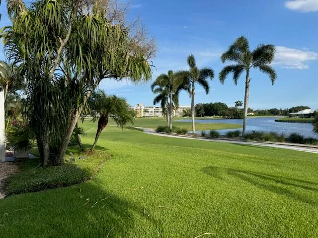 a view of green field with palm trees