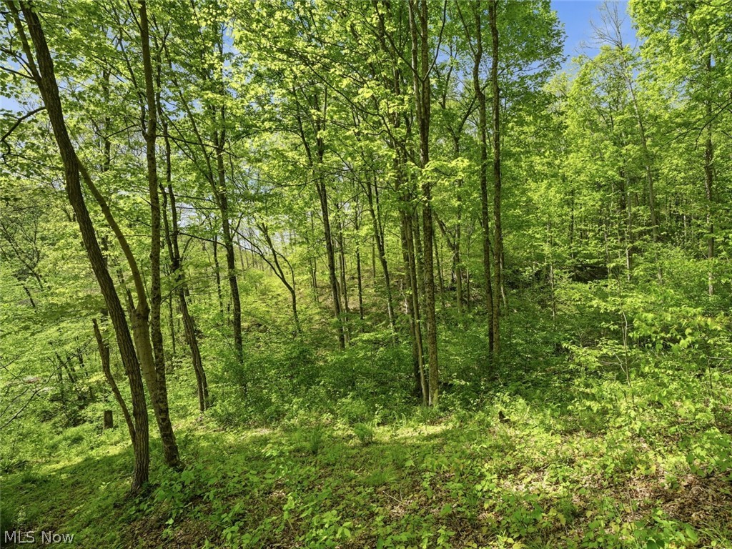 0 Pratts Run Road Woodsfield, OH 43793 - Photo 23 of 24