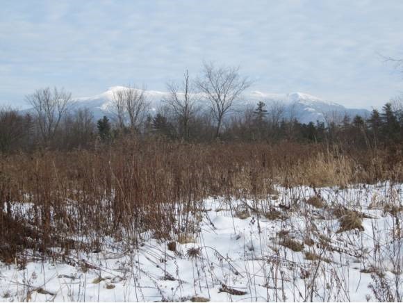 20 Cilley Hill Road Jericho, VT 05465 - Photo 1 of 1 Gallery Image 1