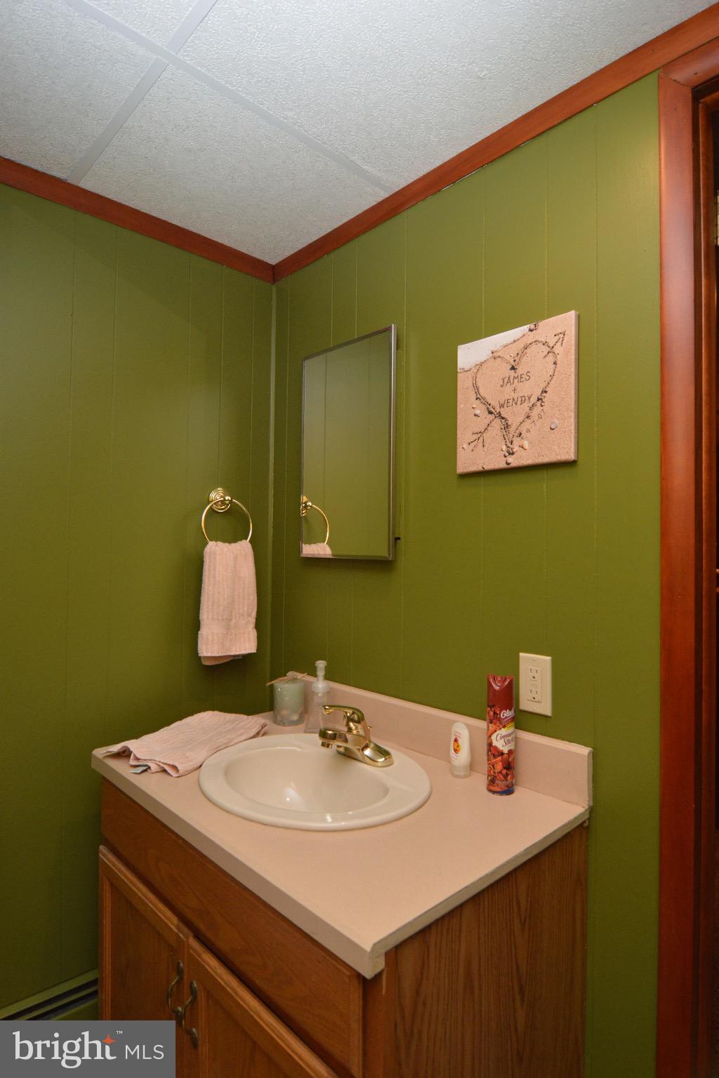 307 North Tulpehocken Road Reading, PA 19601 - Photo 18 of 28 lower level powder room