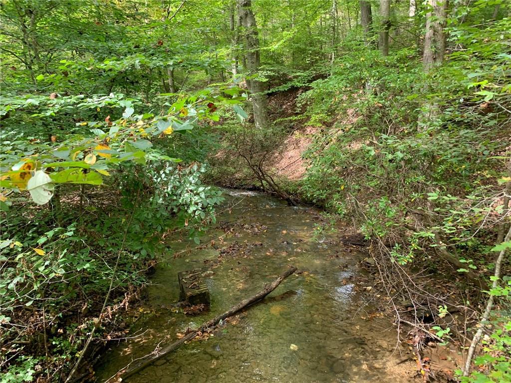 0 Talking Rock Falls N Road East Jasper, GA 30143 - Photo 1 of 1 Gallery Image 1
