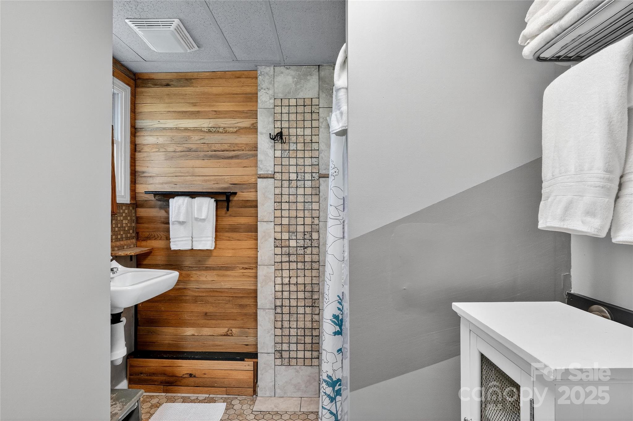 178 South Caldwell Street Brevard, NC 28712 - Photo 35 of 40 a bathroom with a sink and a mirror