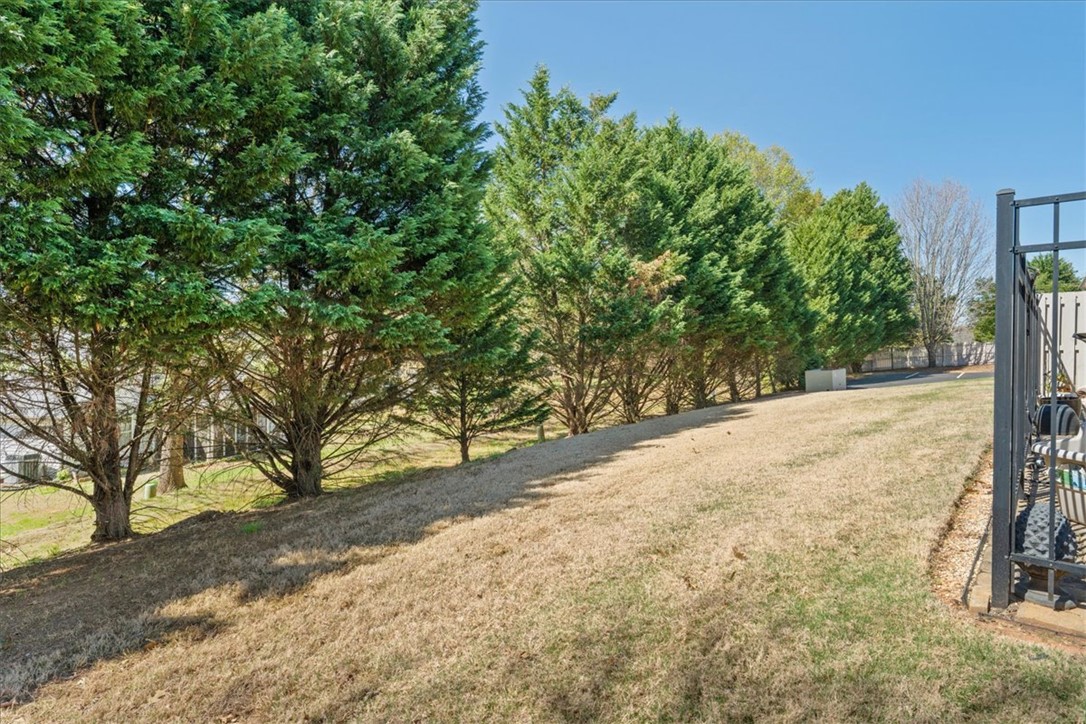 100 Shipyard Circle Anderson, SC 29621 - Photo 36 of 40 Private backyard views.