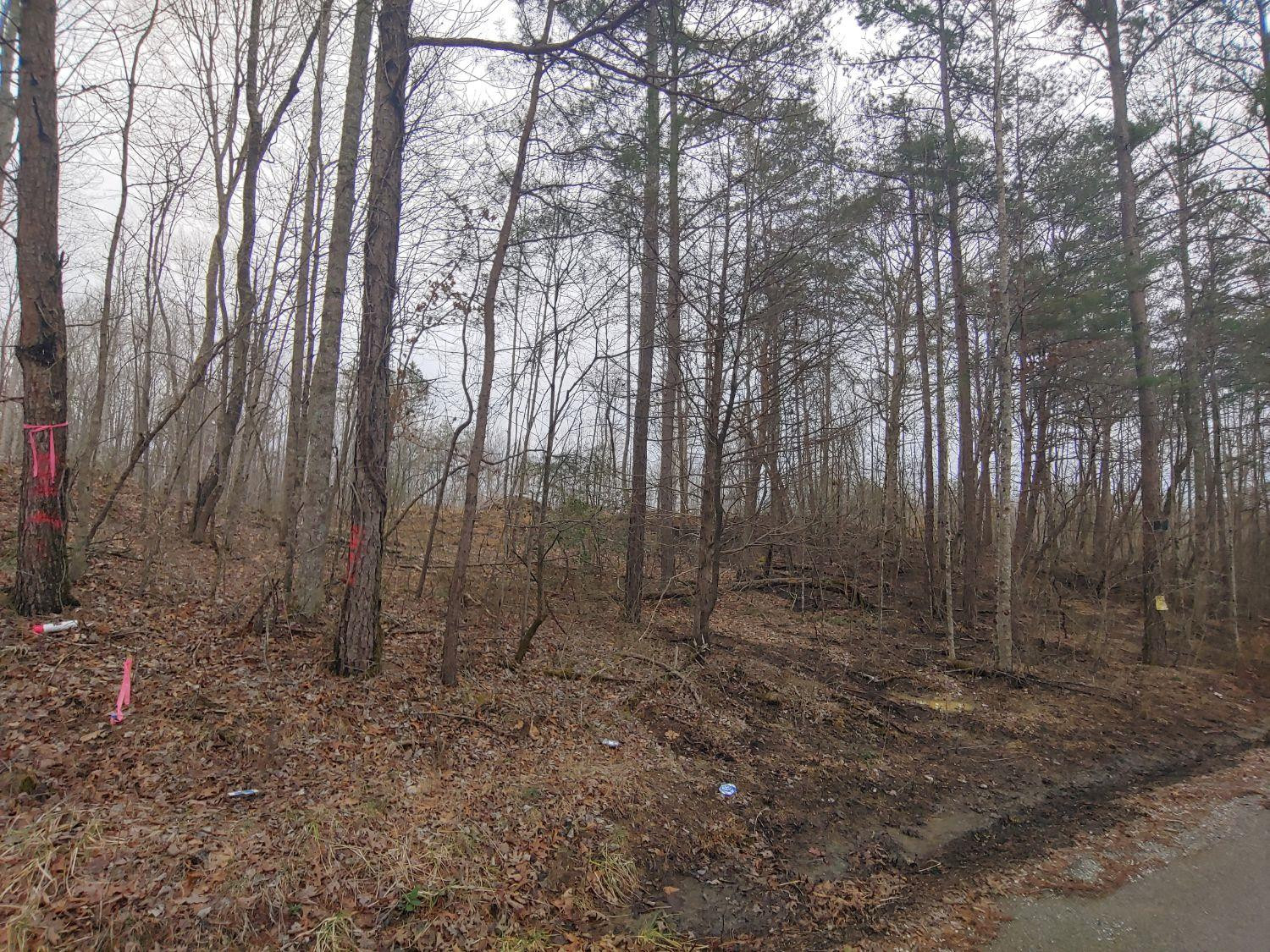 2222 Mauney Chapel Road Corbin, KY 40701 - Photo 15 of 17 Photo 1