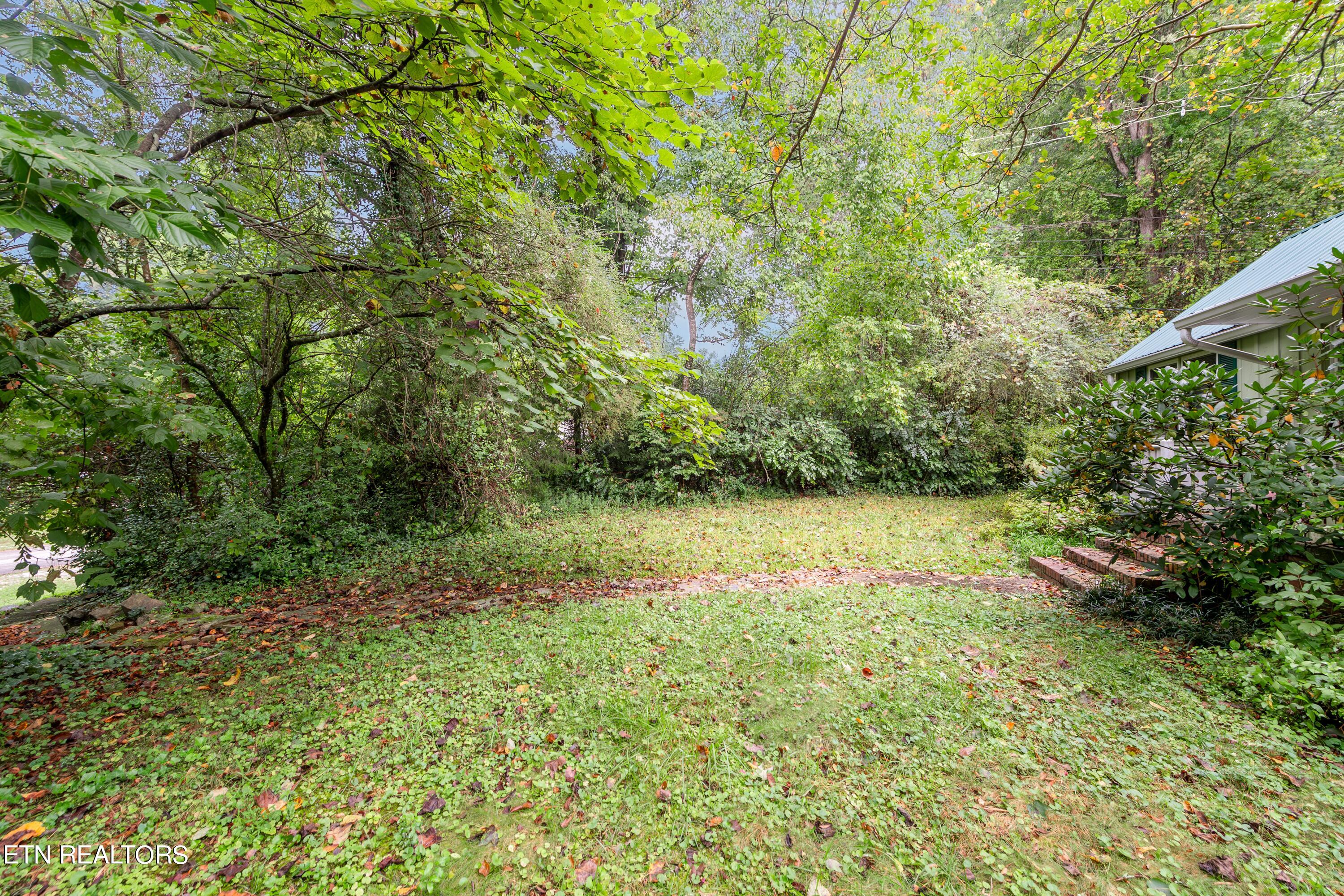 133 Crescent Road Norris, TN 37828 - Photo 2 of 26 HOB_4588-Enhanced-NR-Edit