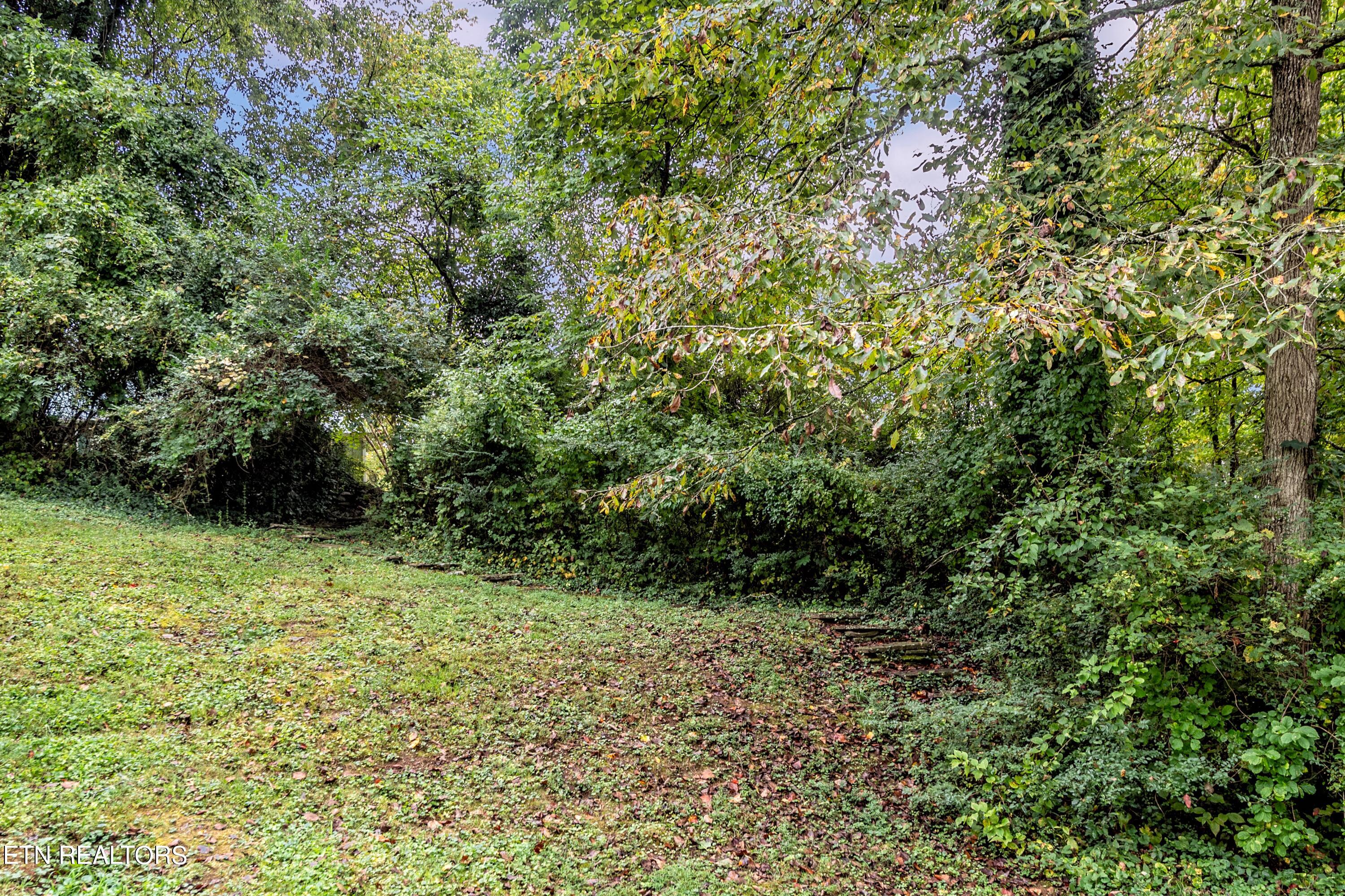 133 Crescent Road Norris, TN 37828 - Photo 26 of 26 HOB_4814-Edit