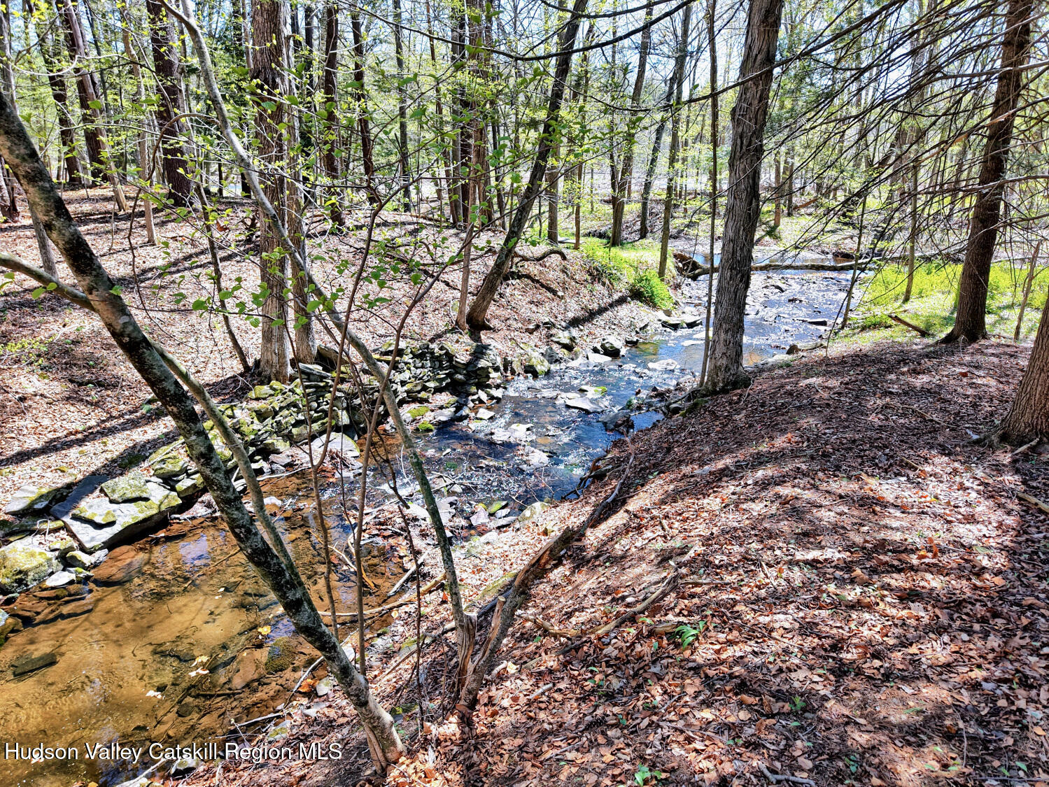 63 Meadow Road Cairo, NY 12413 - Photo 90 of 90 9zzzd
