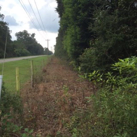 0 Bruhn Road Elberta, AL 36530 - Photo 6 of 7