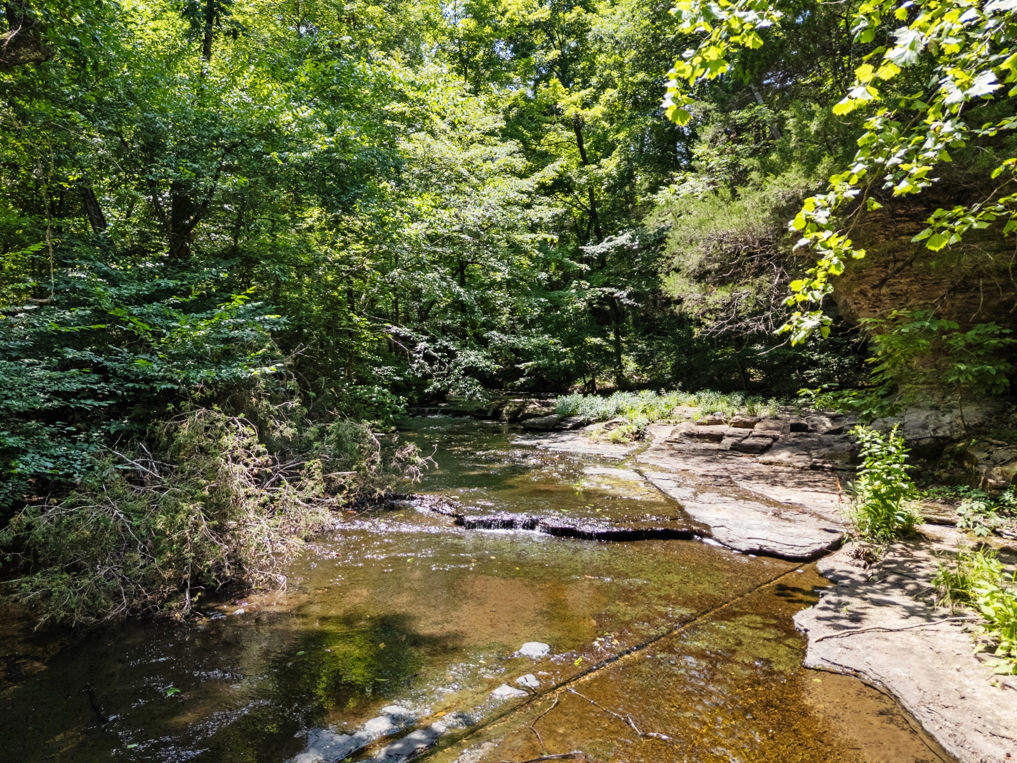 1370 Leatherwood Road White Bluff, TN 37187 - Photo 91 of 93