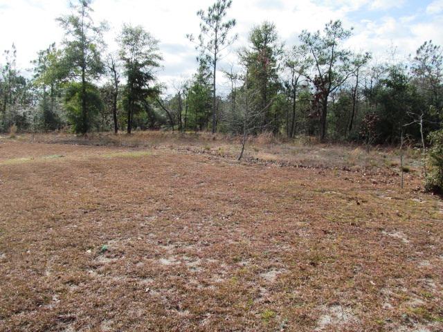 133 East Renoir Road DeFuniak Springs, FL 32433 - Photo 19 of 19 Yard