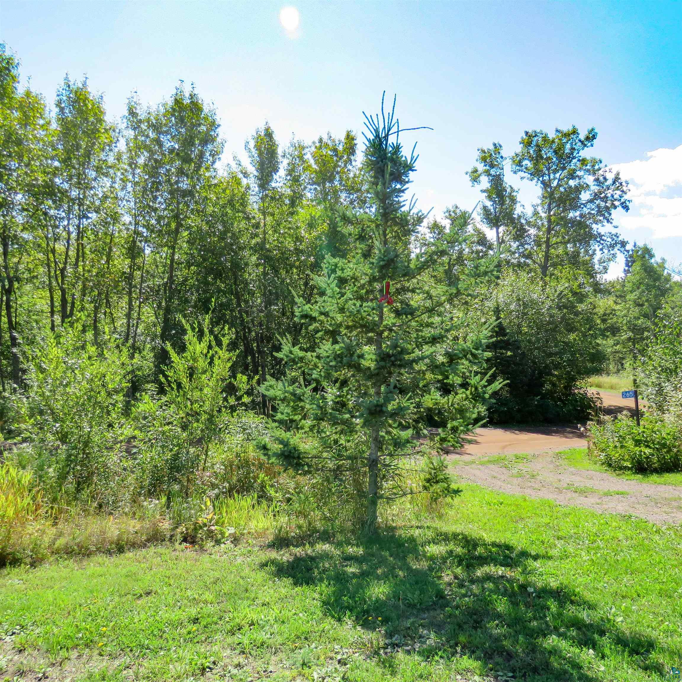 265 Mink Ranch Road Lutsen, MN 55612 - Photo 39 of 40 Gallery Image 39