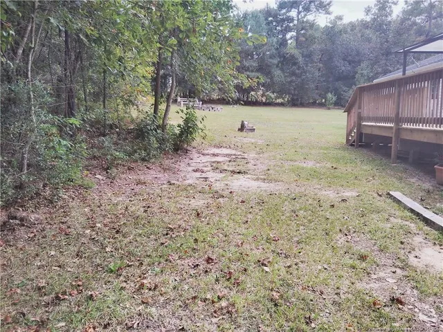 a view of a backyard
