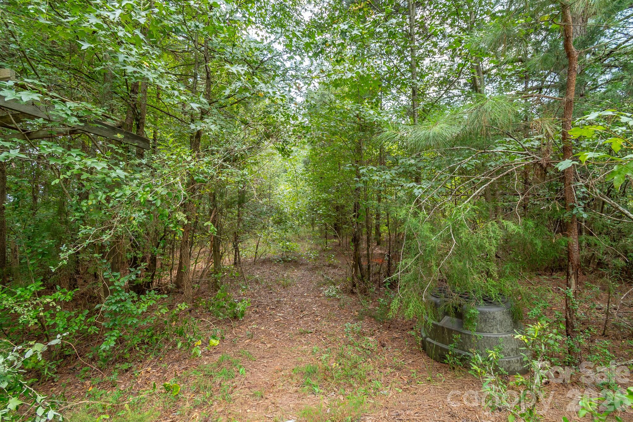 0 Bigham Road Waxhaw, NC 28173 - Photo 13 of 20 Gallery Image 13