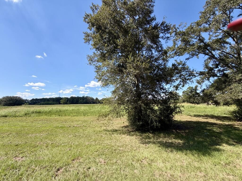 0 West Union Road Carriere, MS 39426 - Photo 6 of 17 Gallery Image 6