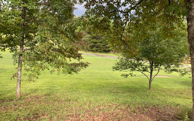 7029 West Union Road Young Harris, GA 30582 - Photo 2 of 4 Additional View