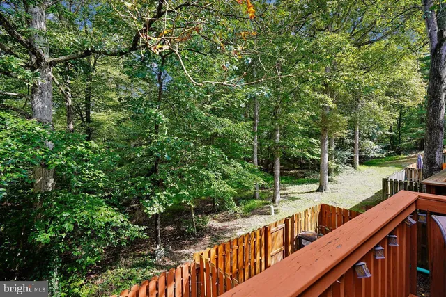 a view of a wooden deck and forest