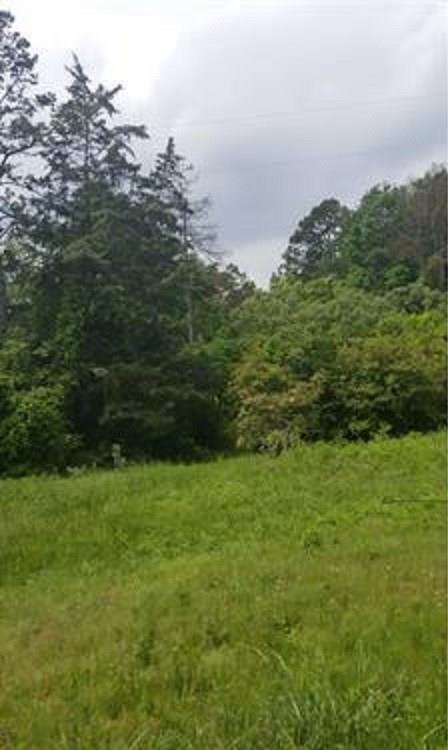 0 Keller Road Carnesville, GA 30521 - Photo 1 of 1