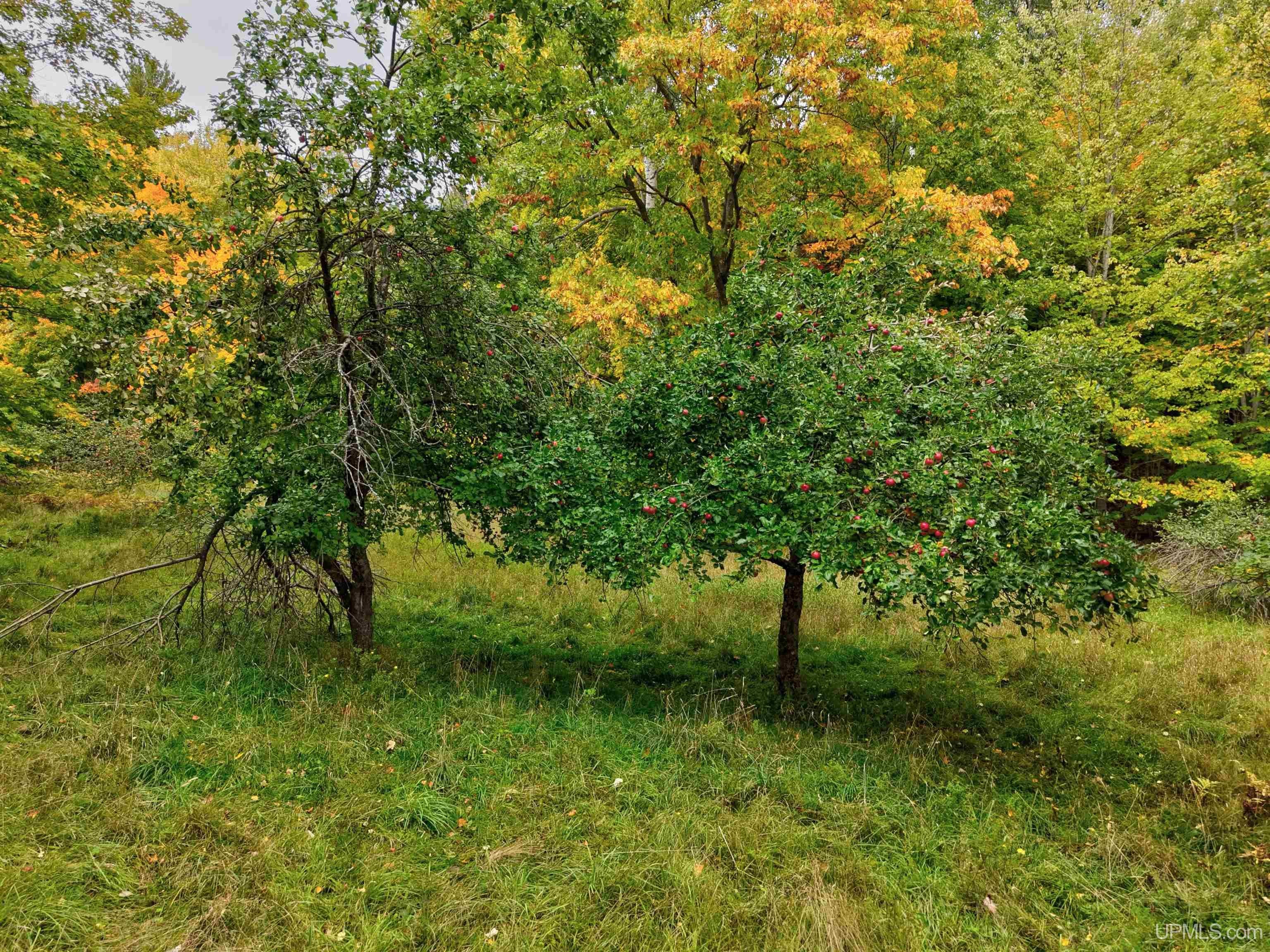 54499 Cemetery Road Calumet, MI 49913 - Photo 41 of 41 Gallery Image 41