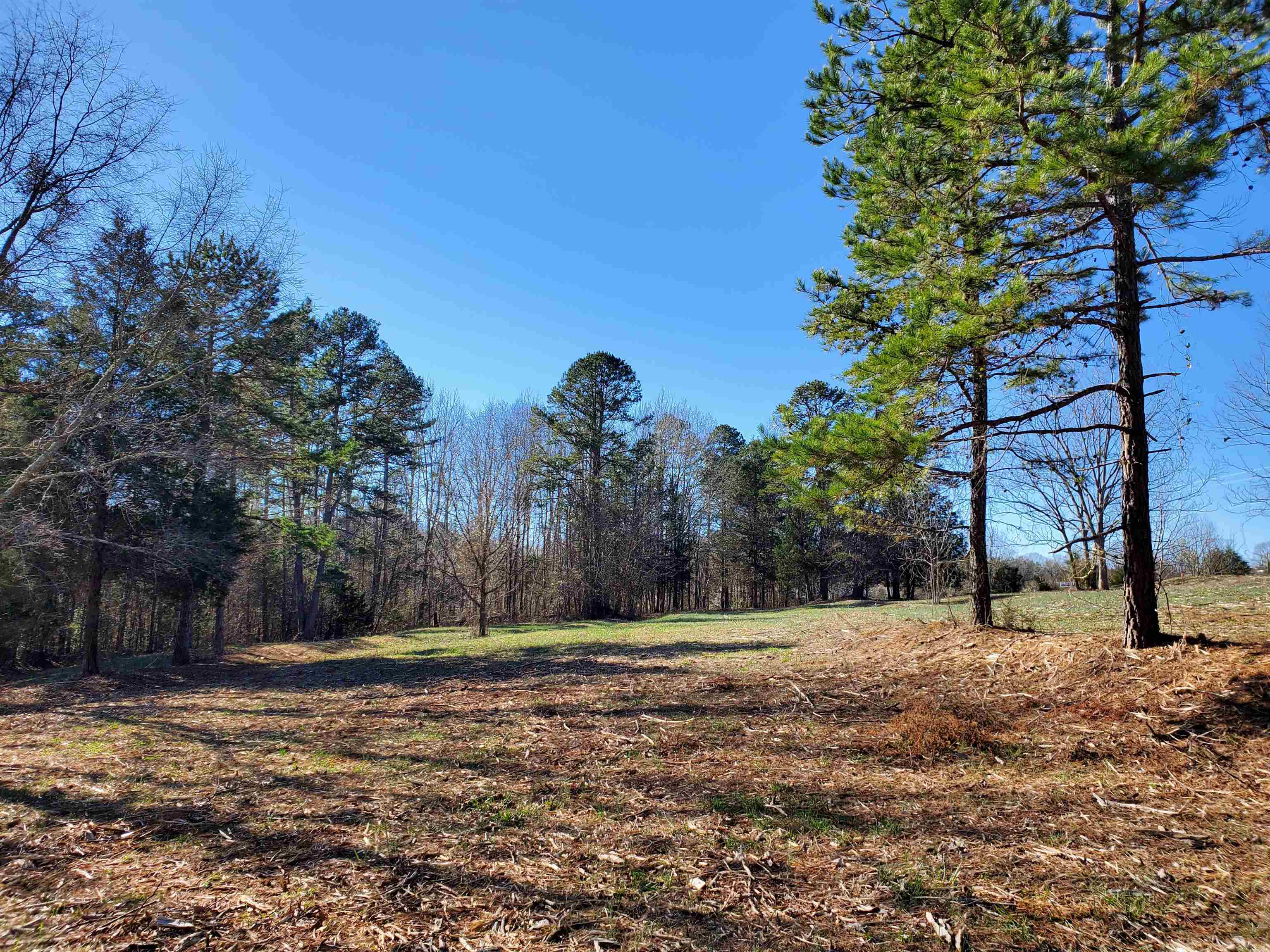 5 Ritchie Road Fountain Inn, SC 29644 - Photo 11 of 21