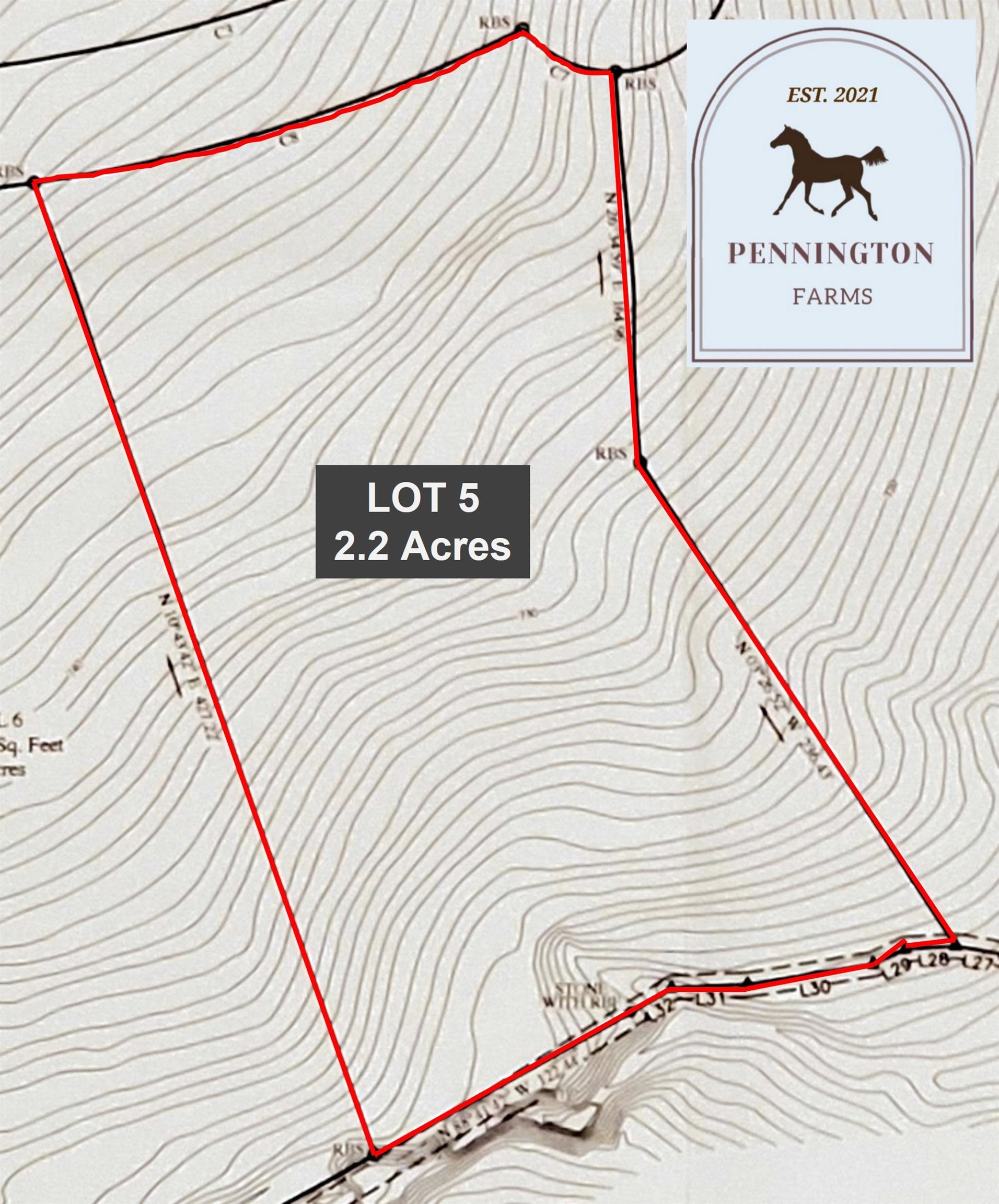 5 Ritchie Road Fountain Inn, SC 29644 - Photo 13 of 21