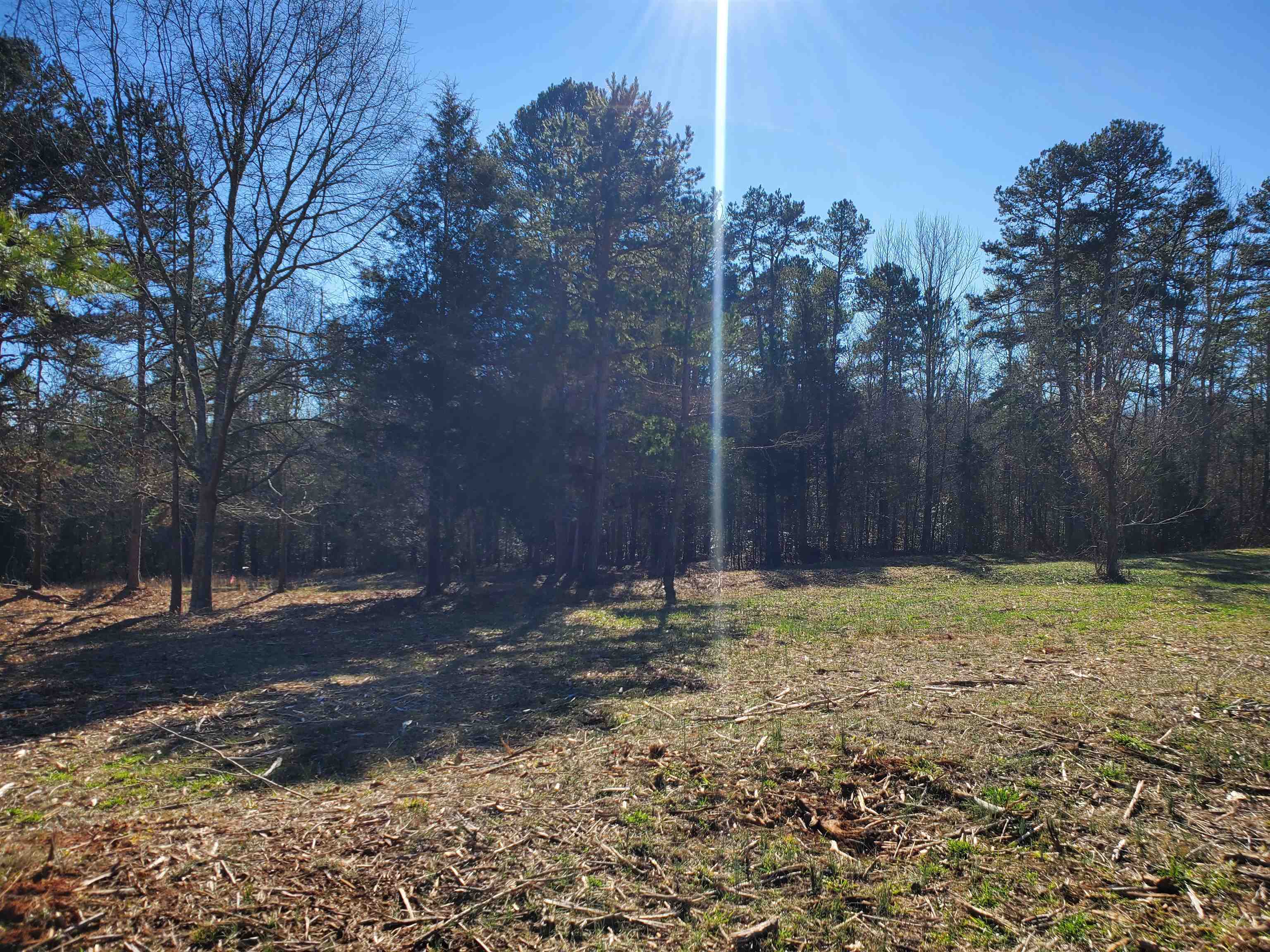 5 Ritchie Road Fountain Inn, SC 29644 - Photo 3 of 21