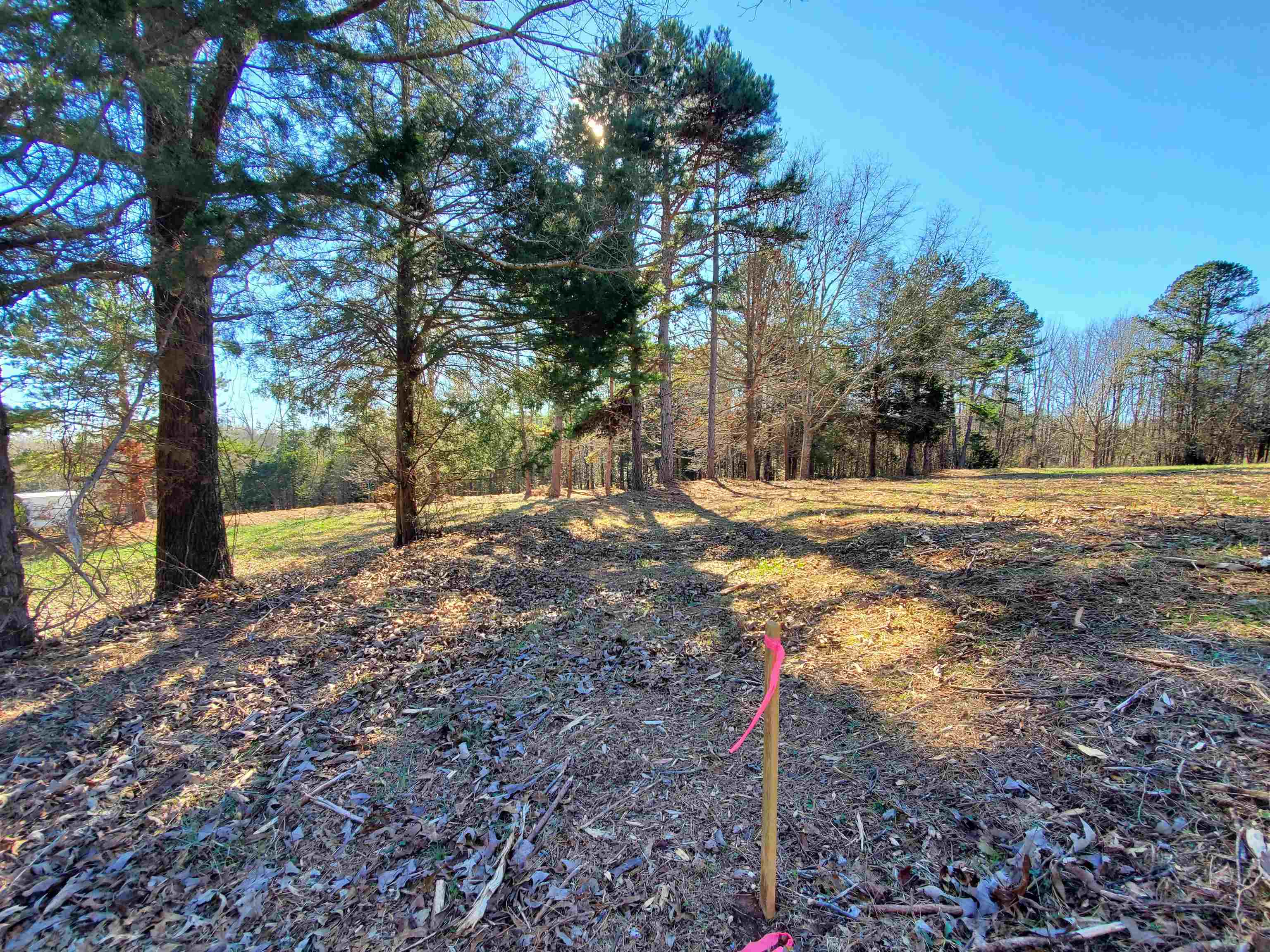 5 Ritchie Road Fountain Inn, SC 29644 - Photo 9 of 21