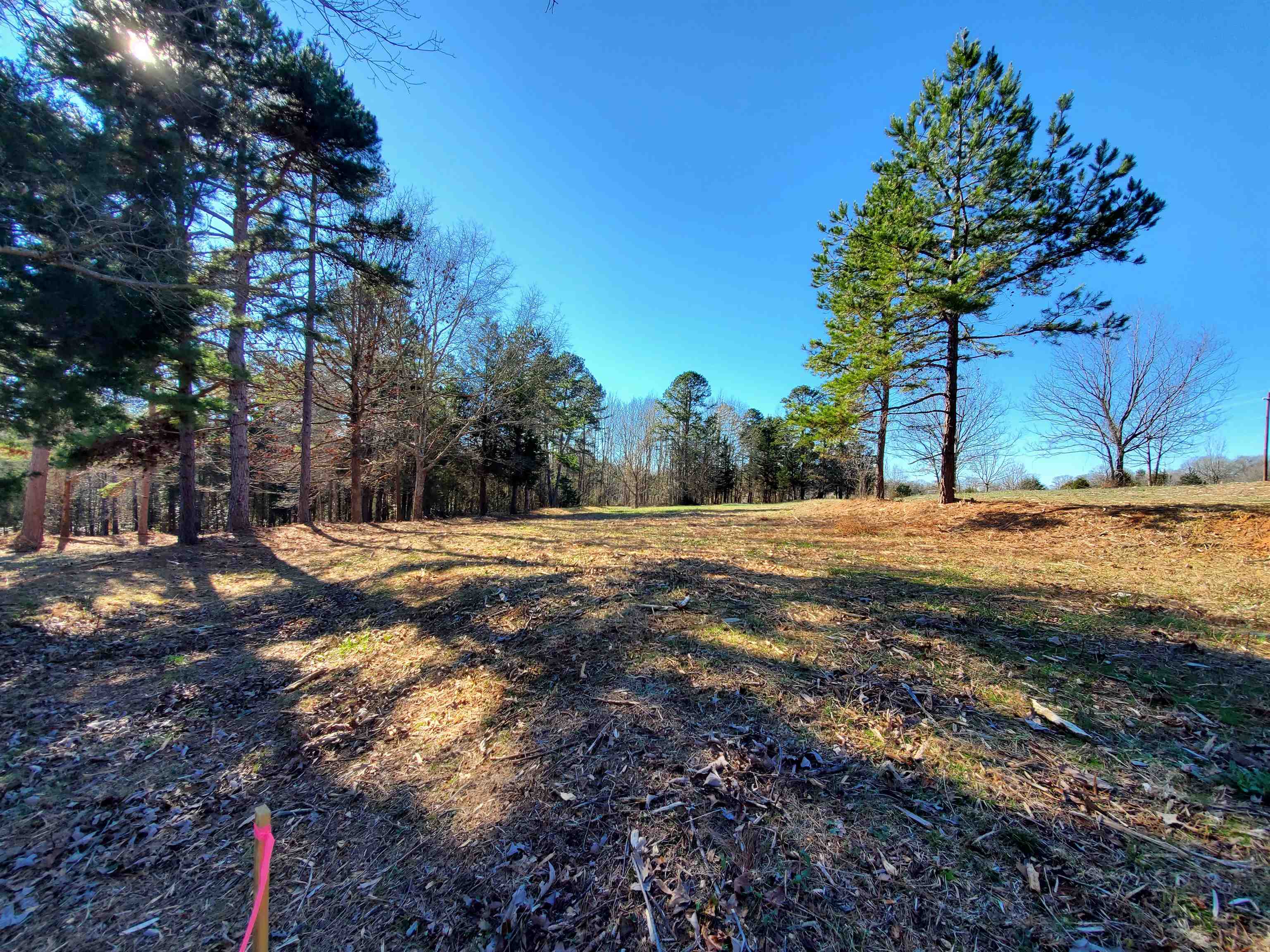 5 Ritchie Road Fountain Inn, SC 29644 - Photo 10 of 21