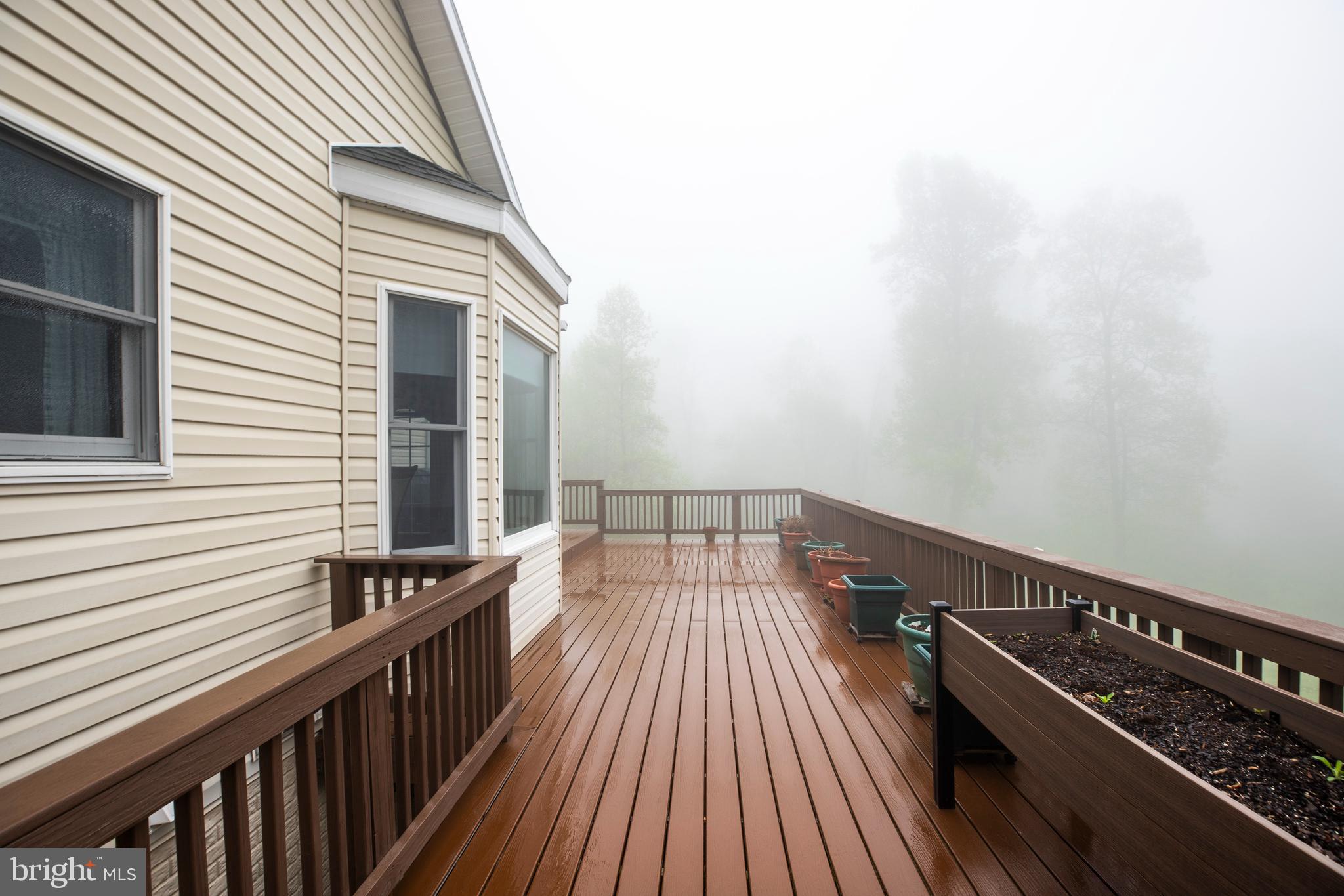 20711 Blue Ridge Mountain Road Paris, VA 20130 - Photo 13 of 59