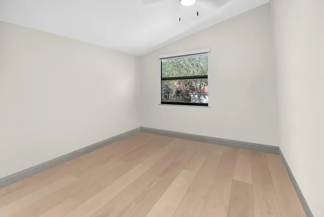 a view of a park with large trees