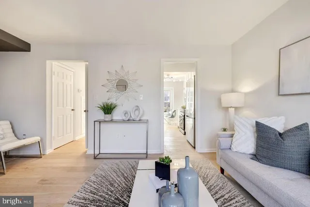 a living room with furniture and a potted plant