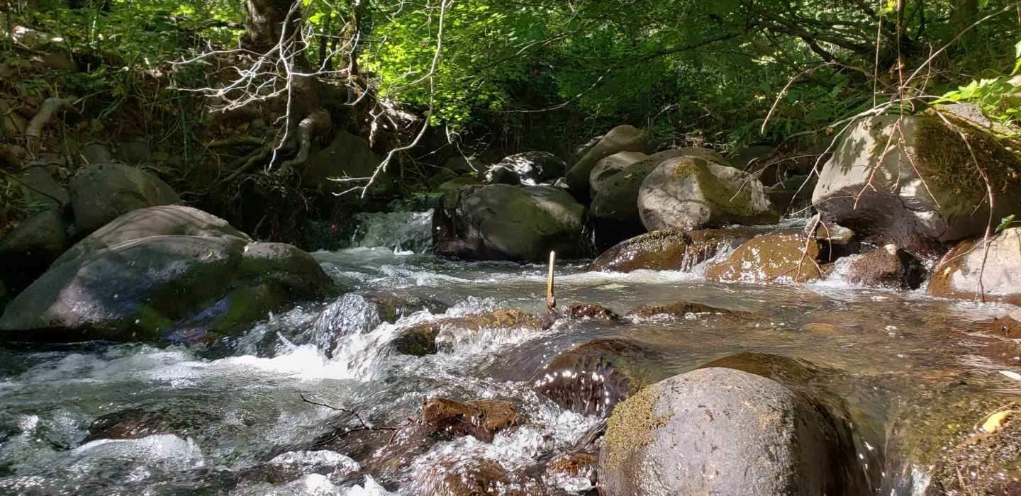 28726 Oak Run To Fern Road Oak Run, CA 96069 - Photo 1 of 46 Lukl8ic2oxAmqJb2ymQreOb_fajuAgeCHMXl1i1U