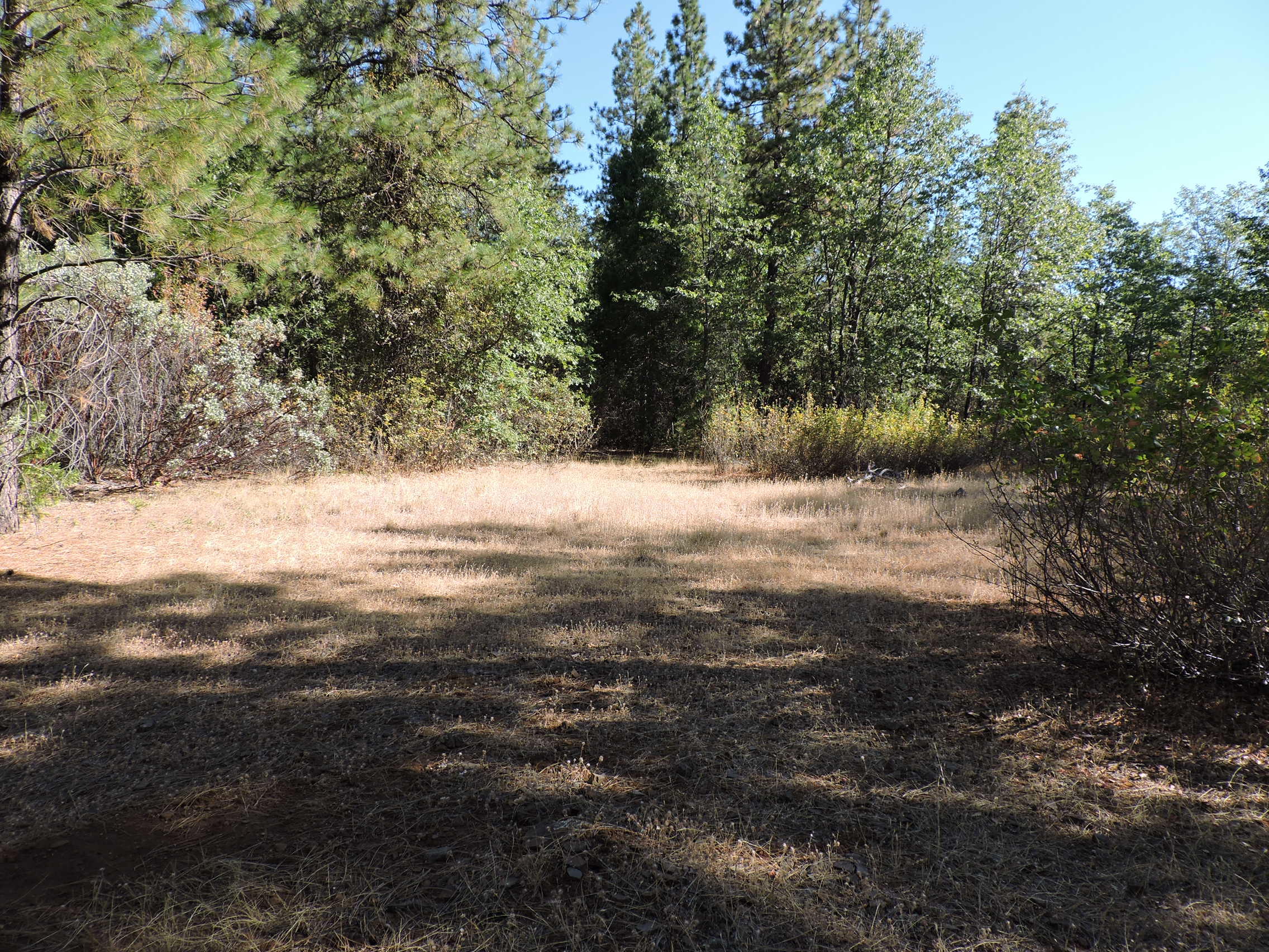 28726 Oak Run To Fern Road Oak Run, CA 96069 - Photo 19 of 46 Oak Run to Fern Road (11)