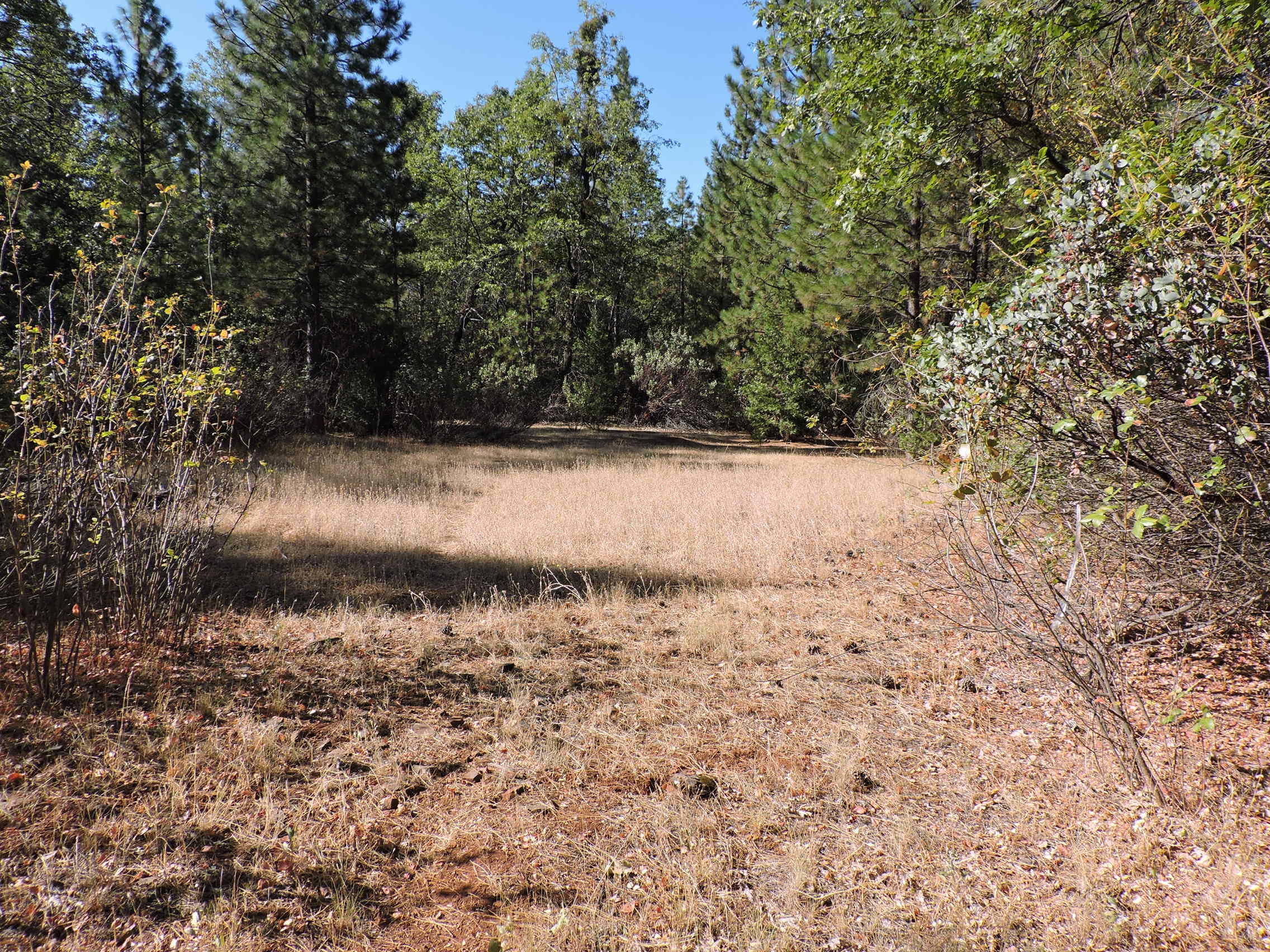 28726 Oak Run To Fern Road Oak Run, CA 96069 - Photo 20 of 46 Oak Run to Fern Road (12)