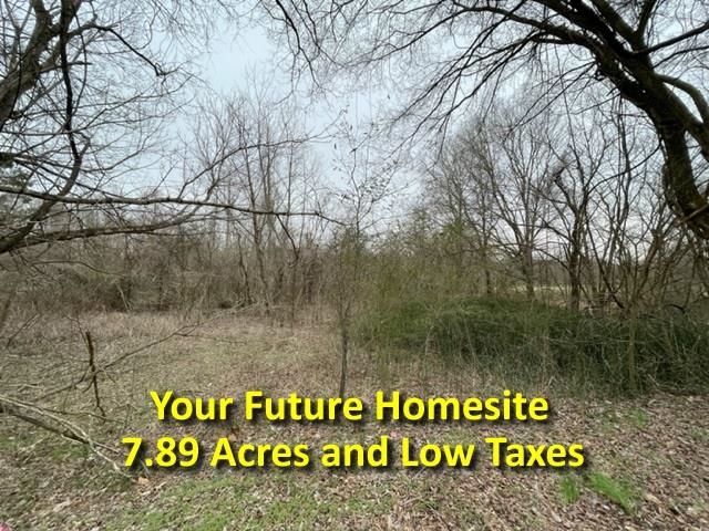 8246 Rankin Branch Road Millington, TN 38053 - Photo 1 of 11 Gallery Image 1