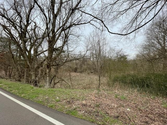8246 Rankin Branch Road Millington, TN 38053 - Photo 2 of 11 Gallery Image 2