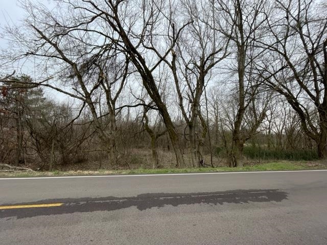 8246 Rankin Branch Road Millington, TN 38053 - Photo 3 of 11 Gallery Image 3