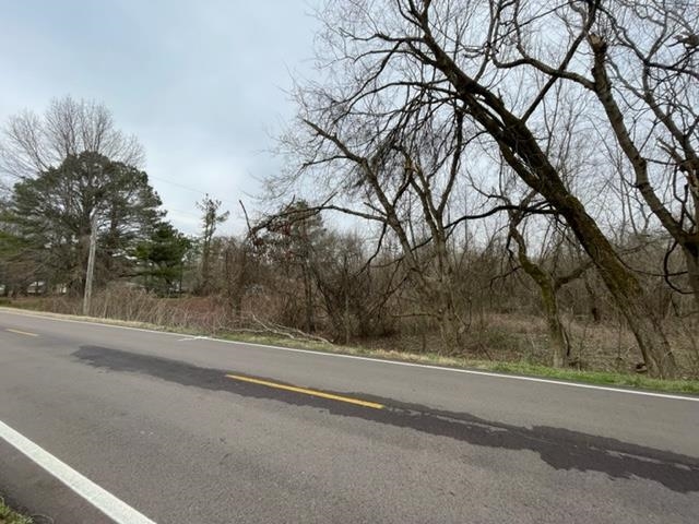 8246 Rankin Branch Road Millington, TN 38053 - Photo 5 of 11 Gallery Image 5