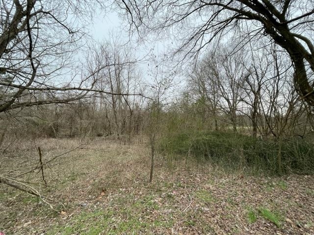 8246 Rankin Branch Road Millington, TN 38053 - Photo 8 of 11 Gallery Image 8