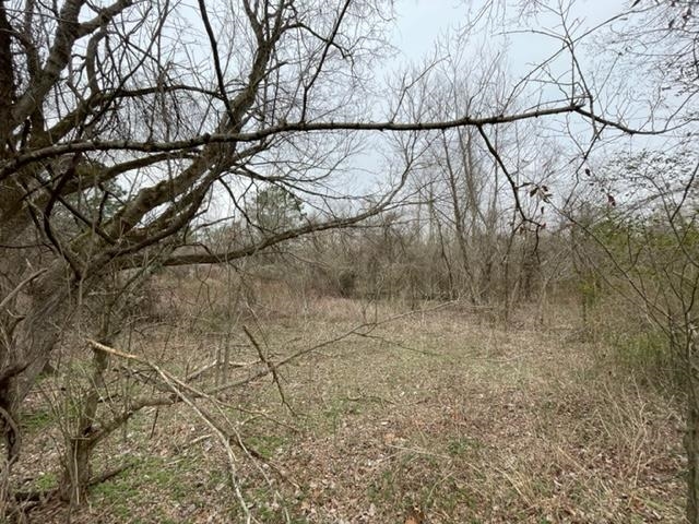 8246 Rankin Branch Road Millington, TN 38053 - Photo 9 of 11 Gallery Image 9
