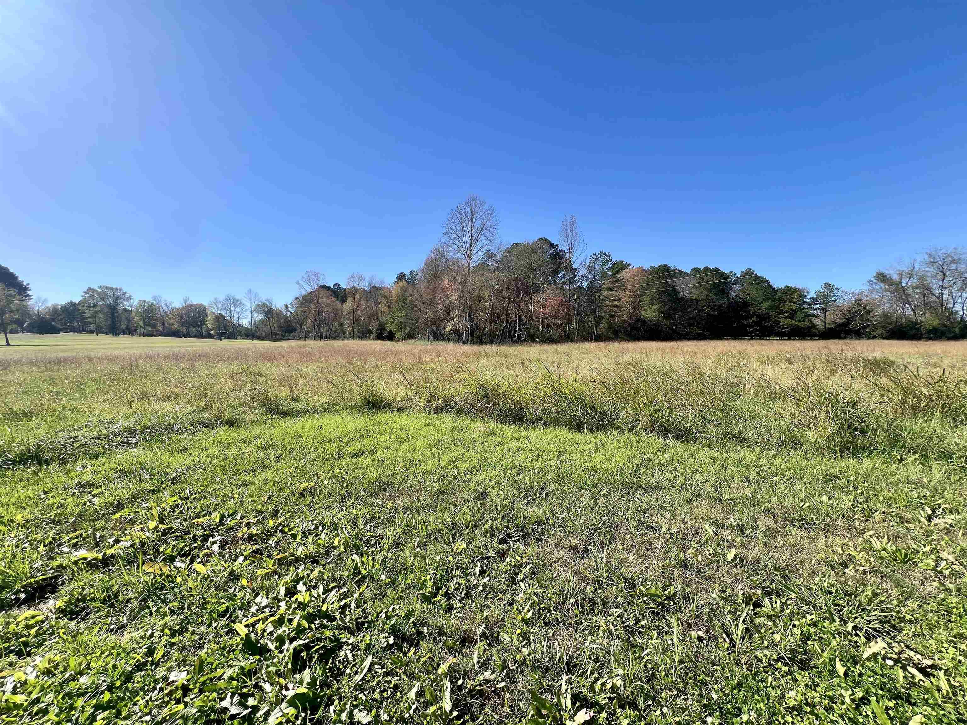 125 South Palmer Street Adamsville, TN 38310 - Photo 1 of 9 a view of lake and mountain view