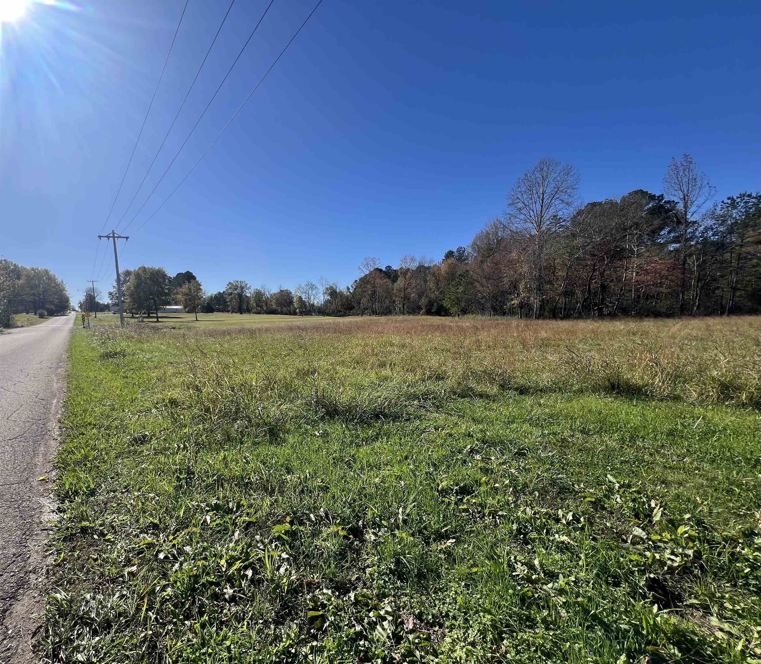 125 South Palmer Street Adamsville, TN 38310 - Photo 8 of 9 a view of a field with an trees