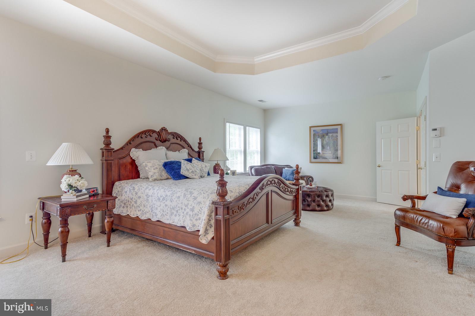 5010 Devin Green Lane Fairfax, VA 22030 - Photo 28 of 53 Tray ceiling