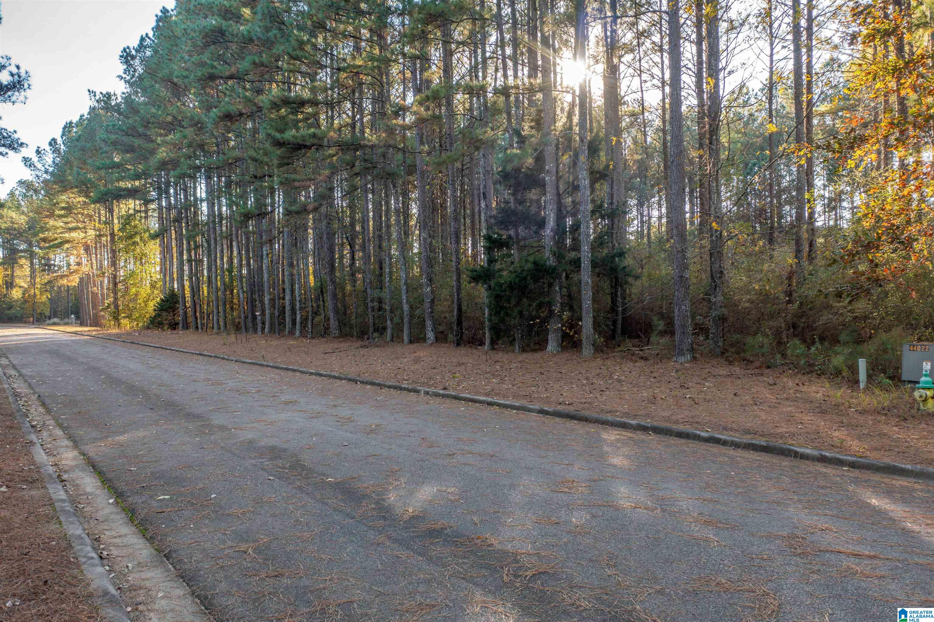 92 Jamestown Way, Unit 2 Anniston, AL 36207 - Photo 4 of 34