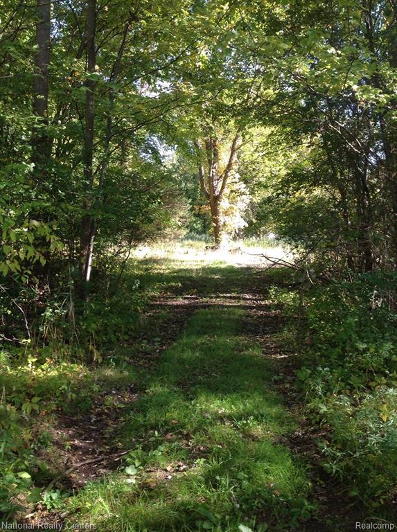 Joslyn Rd Lake Lake Orion, MI 48359 - Photo 5 of 8