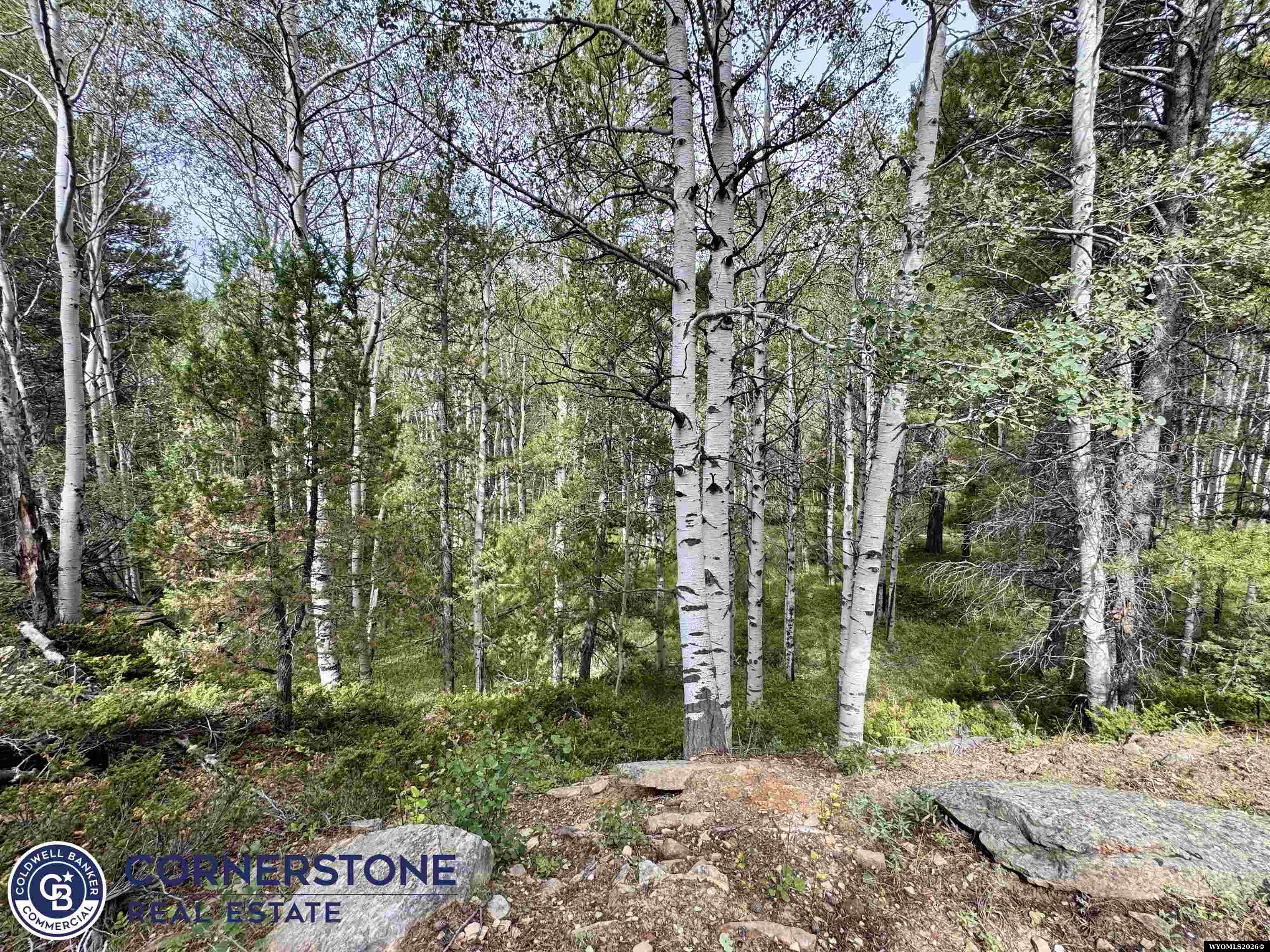 Lot 620 Starwallow Road, Unit 6 Casper, WY 82601 - Photo 6 of 16 Gallery Image 6