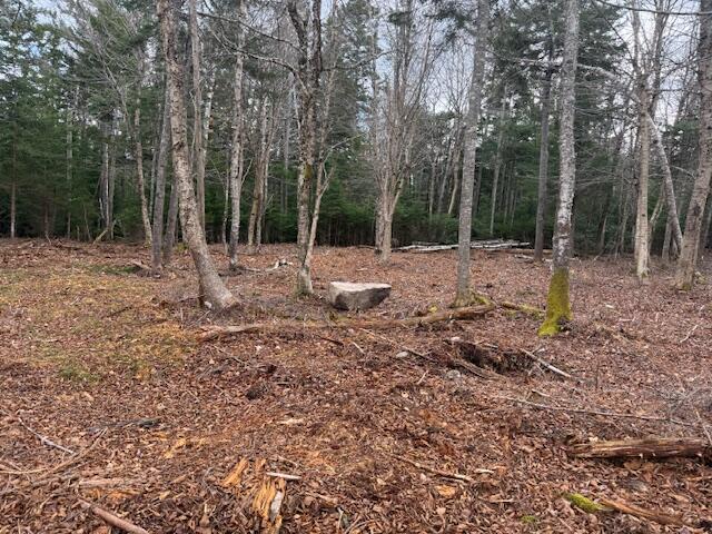 Lot 11 Quiet Shore Road Steuben, ME 04680 - Photo 11 of 23