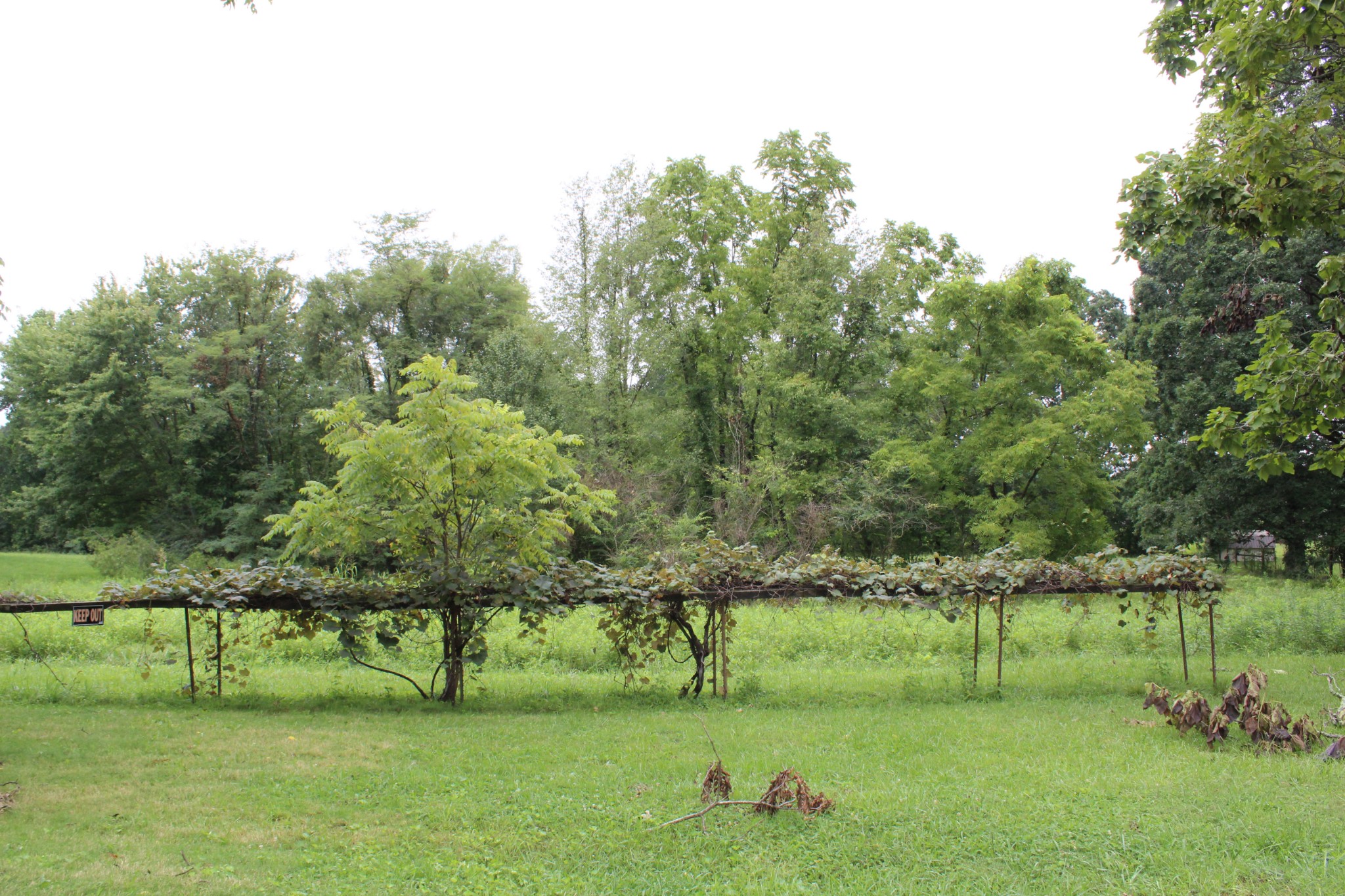 619 Turkey Scratch Road Spencer, TN 38585 - Photo 16 of 20 Gallery Image 16