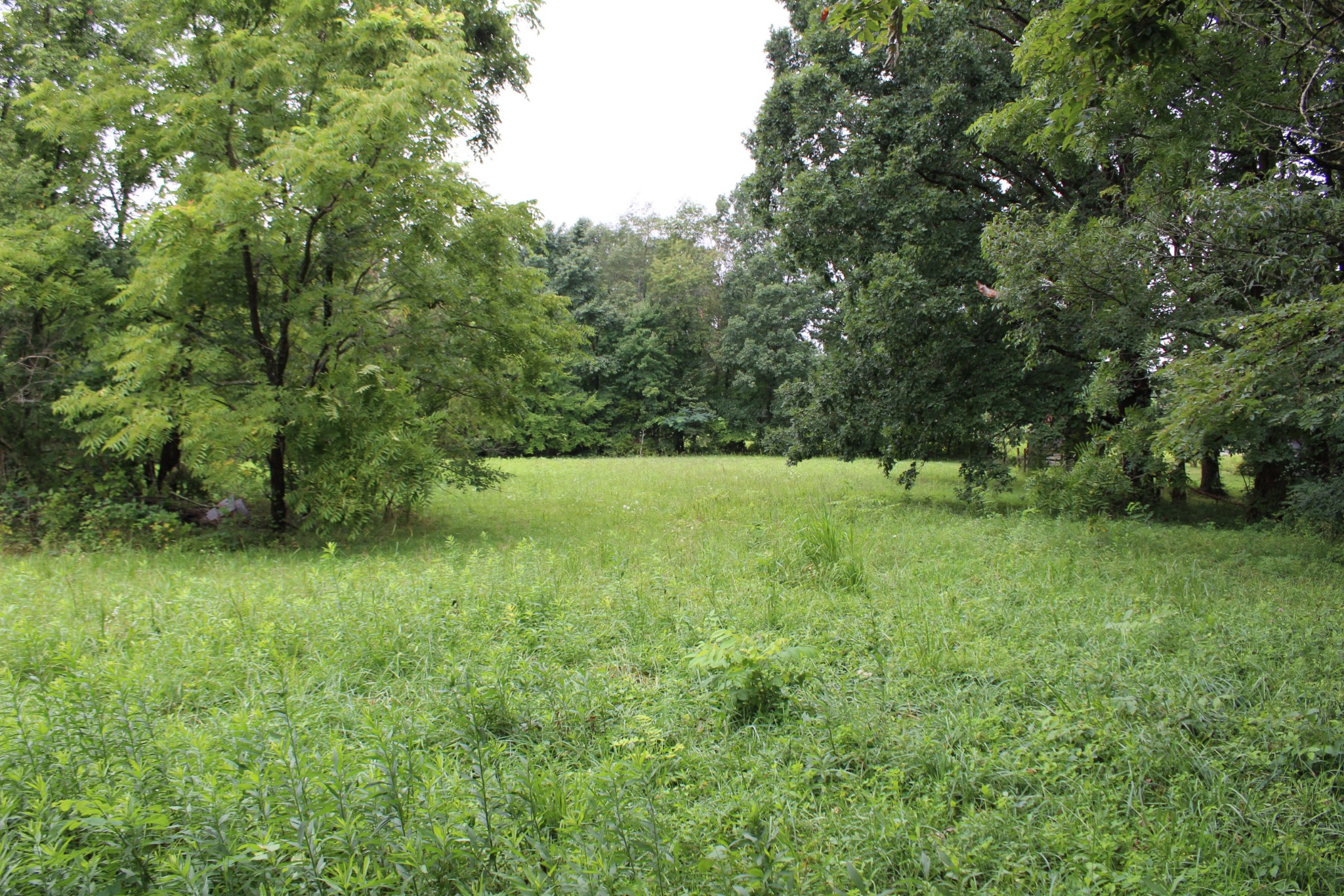 619 Turkey Scratch Road Spencer, TN 38585 - Photo 17 of 20 Gallery Image 17