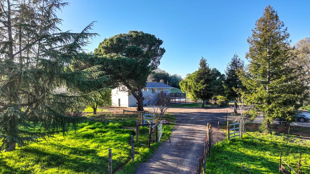 3901 Luneman Road Placerville, CA 95667 - Photo 2 of 56