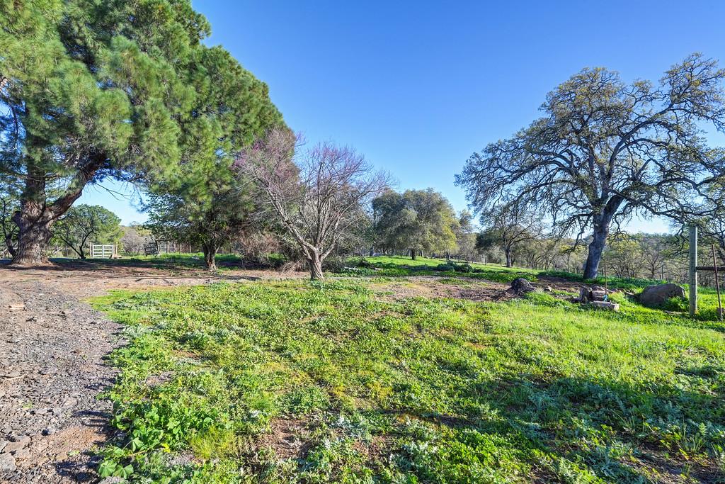 3901 Luneman Road Placerville, CA 95667 - Photo 31 of 56 a view of backyard with large trees